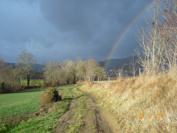 sur le chemin de Lieurac