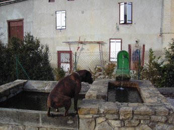 photo fontaine de St Etienne