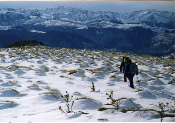 Pic Fourcal par Trimous sous la neige